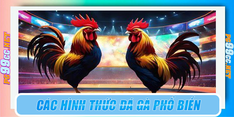 Các hình thức đá gà phổ biến tại PG99