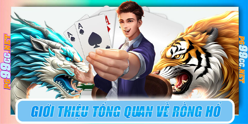 Giới thiệu tổng quan về game bài Rồng Hổ